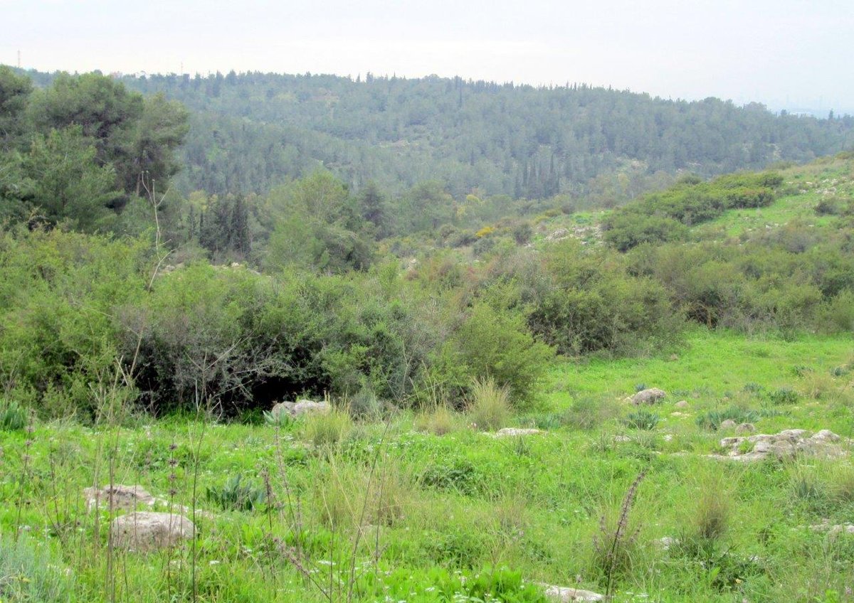 סיור דרך עדשת המצלמה לנופי השרון