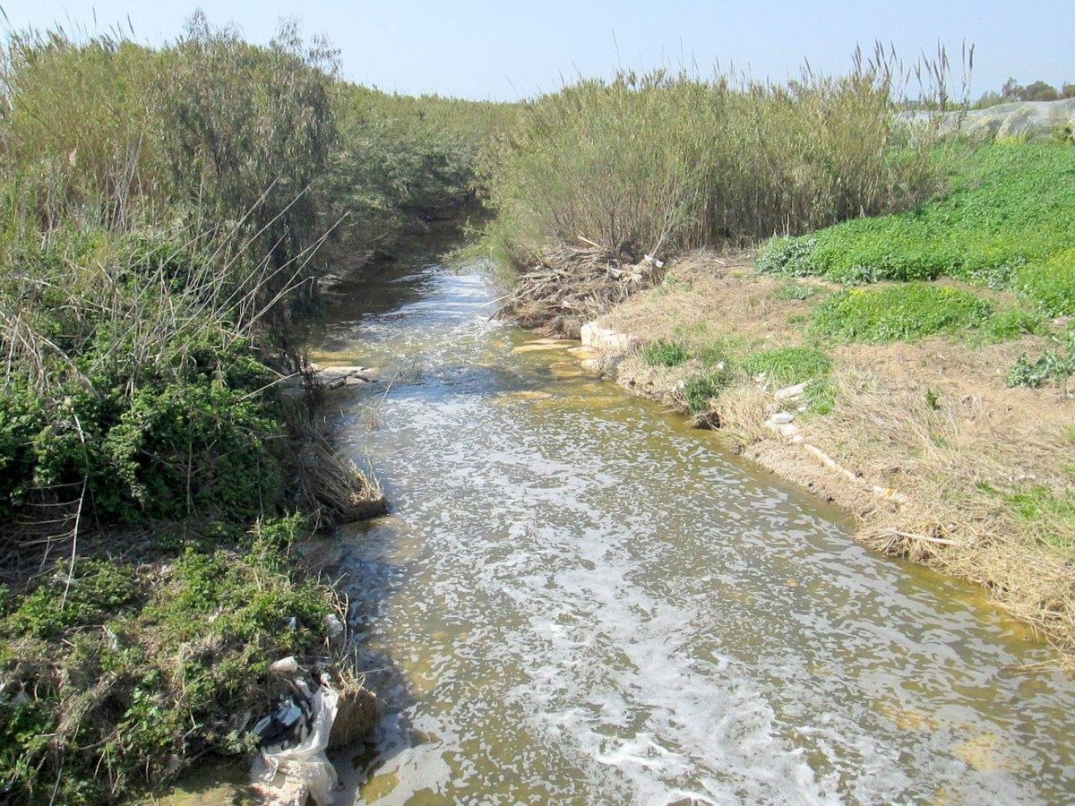 סיור דרך עדשת המצלמה לנופי השרון