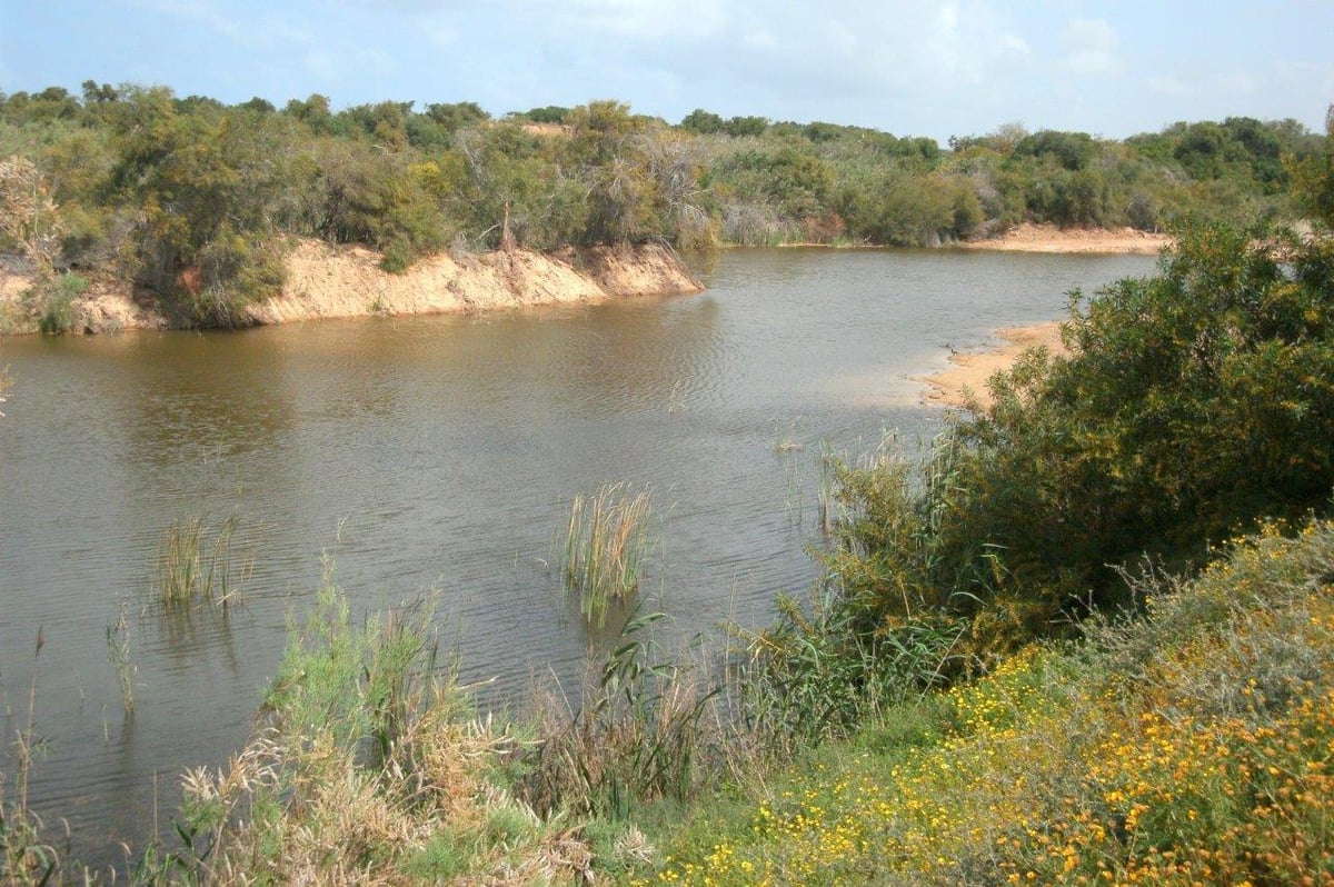 טיול דרך עדשת המצלמה לשפלת יהודה