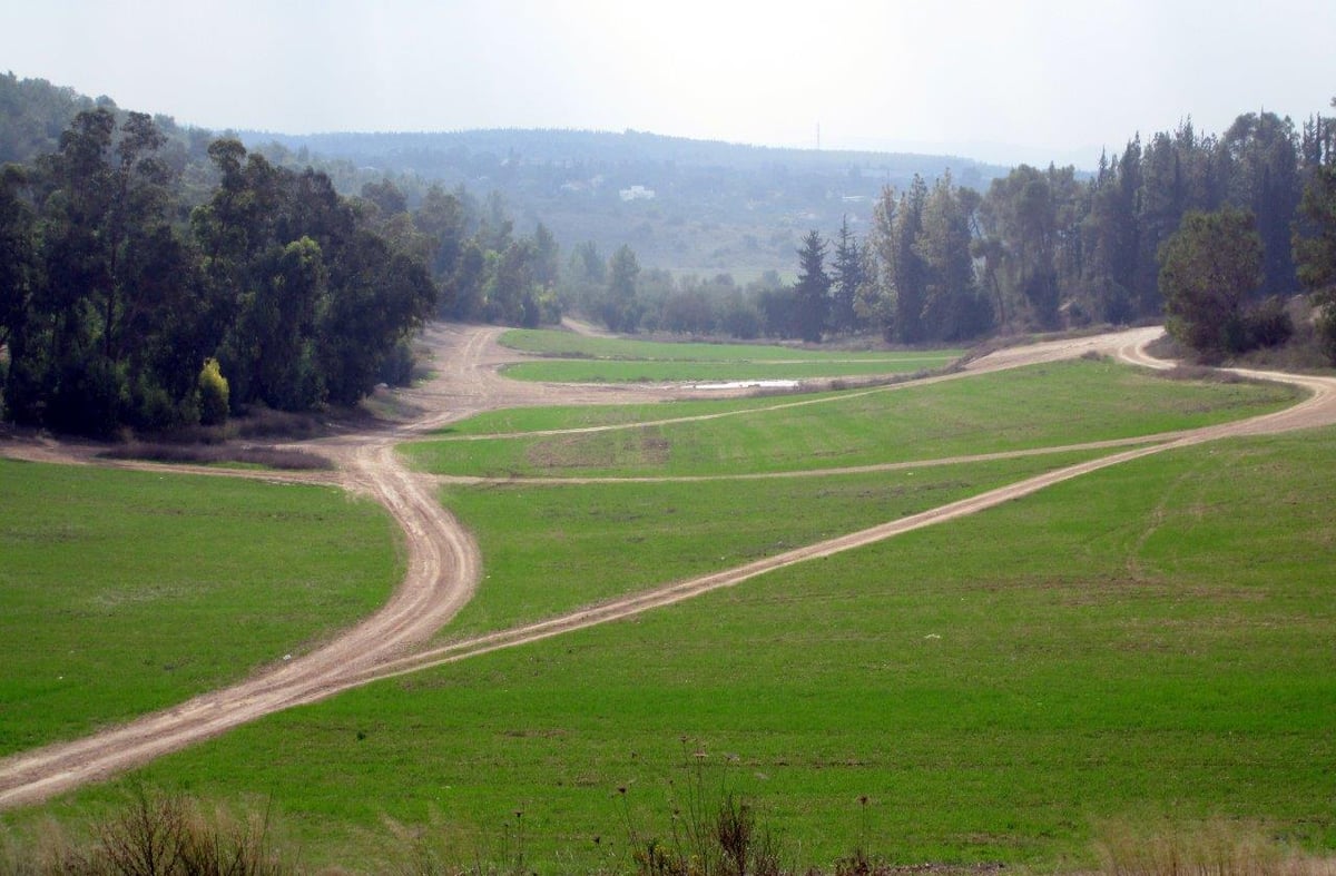 טיול דרך עדשת המצלמה לשפלת יהודה