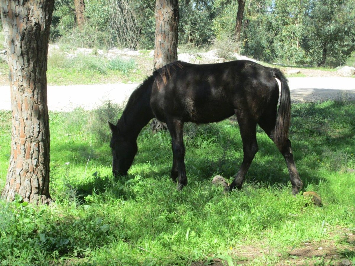 טיול דרך עדשת המצלמה לשפלת יהודה