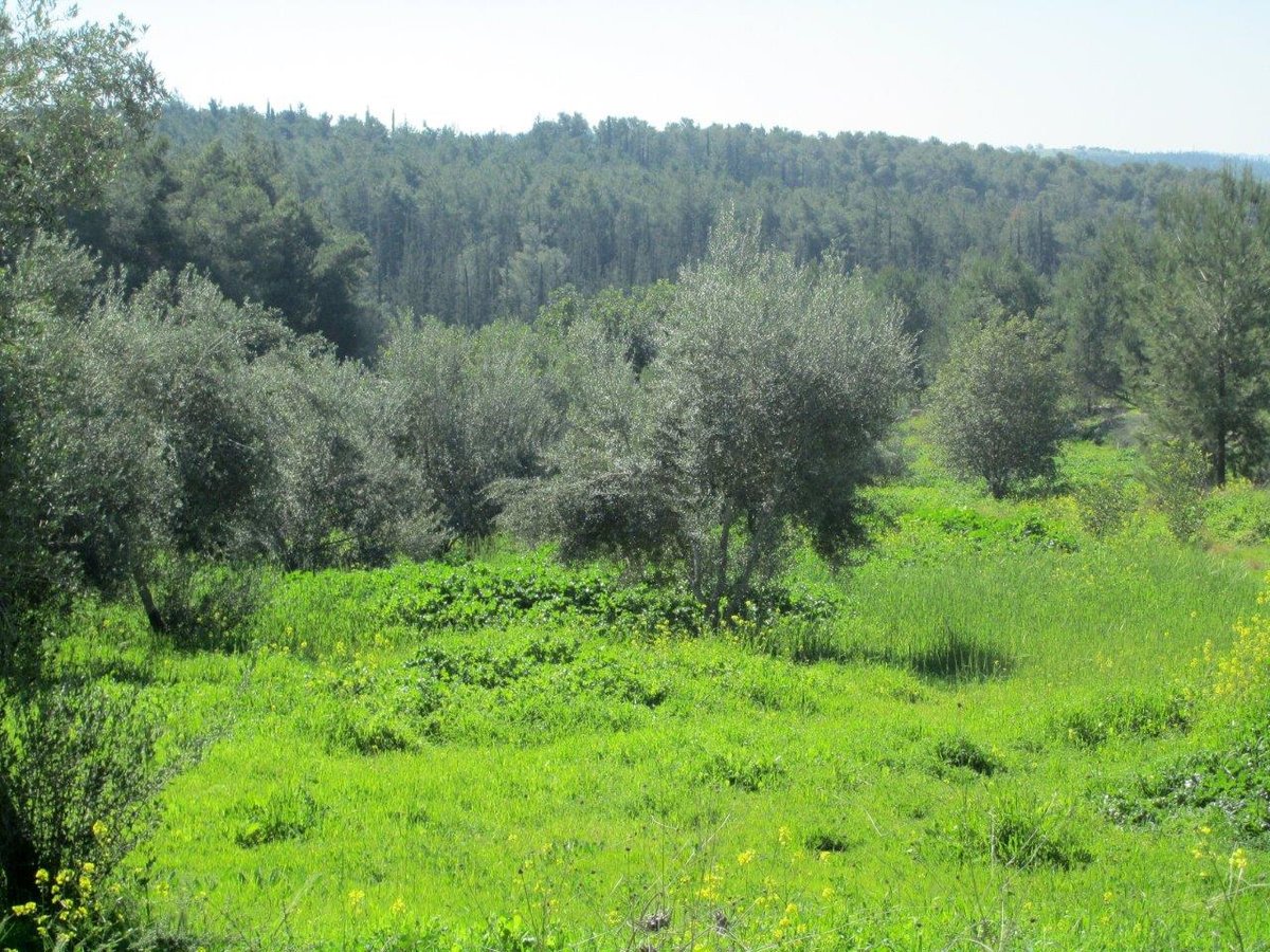 טיול דרך עדשת המצלמה לשפלת יהודה