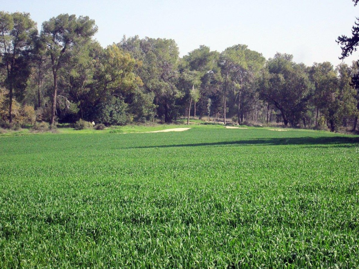 טיול דרך עדשת המצלמה לשפלת יהודה