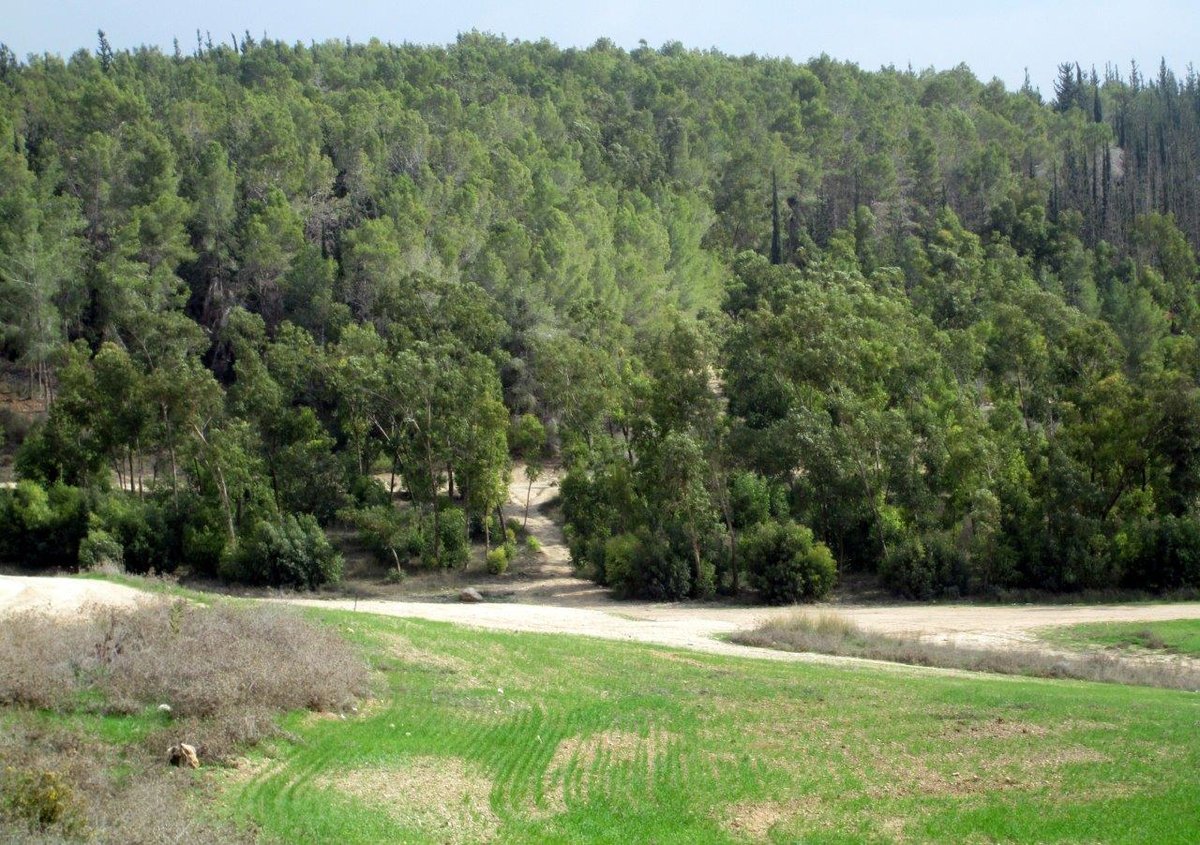 טיול דרך עדשת המצלמה לשפלת יהודה