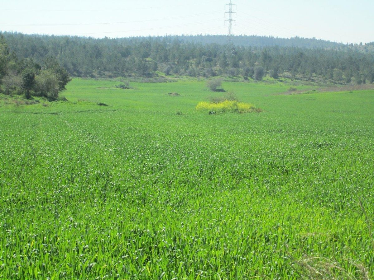 טיול דרך עדשת המצלמה לשפלת יהודה