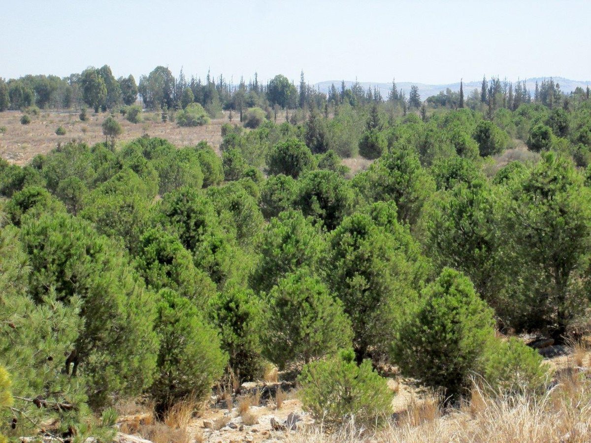 טיול דרך עדשת המצלמה לשפלת יהודה