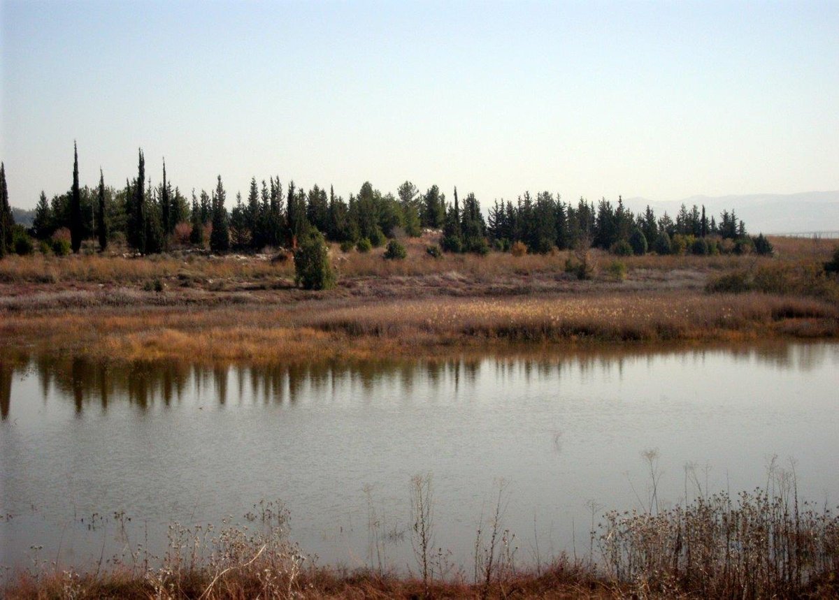 טיול דרך עדשת המצלמה לשפלת יהודה