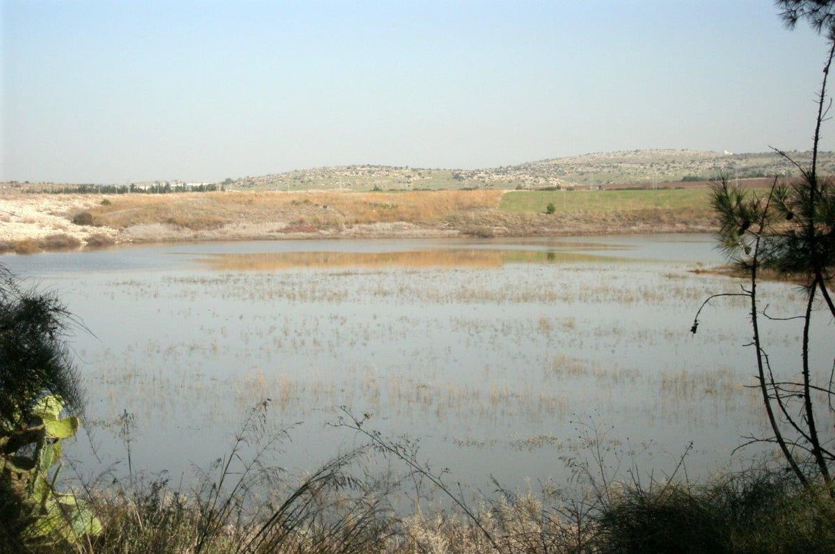 טיול דרך עדשת המצלמה לשפלת יהודה