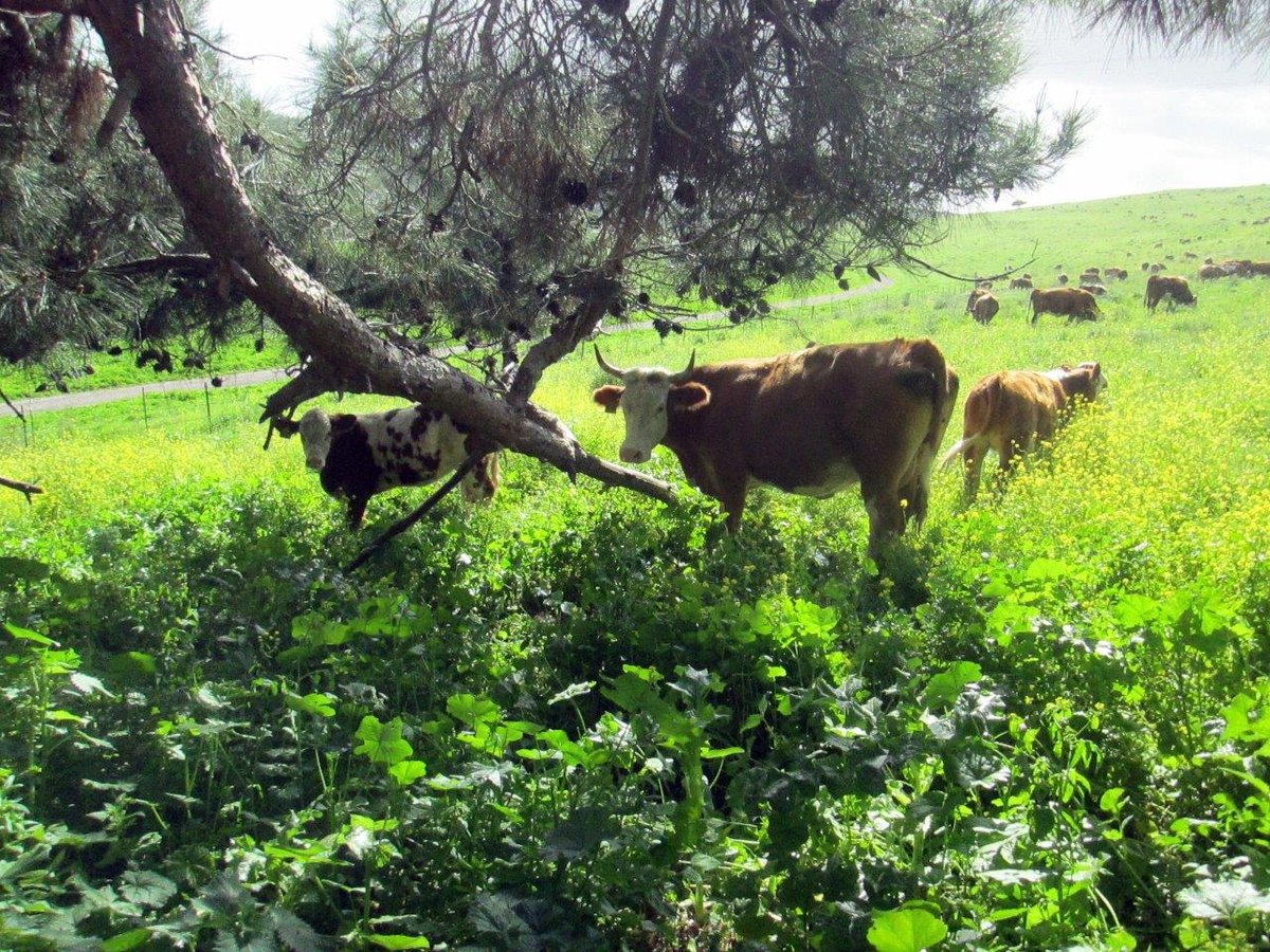 טיול מרהיב דרך עדשת המצלמה לרמות מנשה