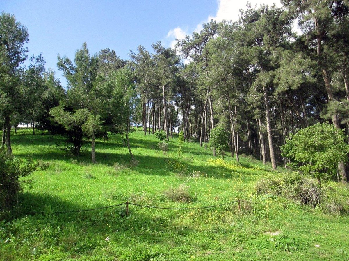 טיול מרהיב דרך עדשת המצלמה לרמות מנשה