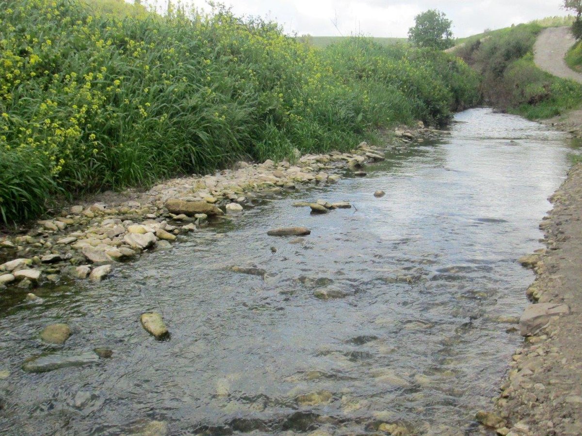 טיול מרהיב דרך עדשת המצלמה לרמות מנשה