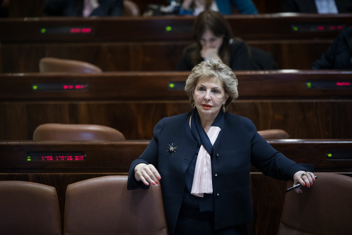 מהמשבר עד הפתרון • כך נראתה הכנסת