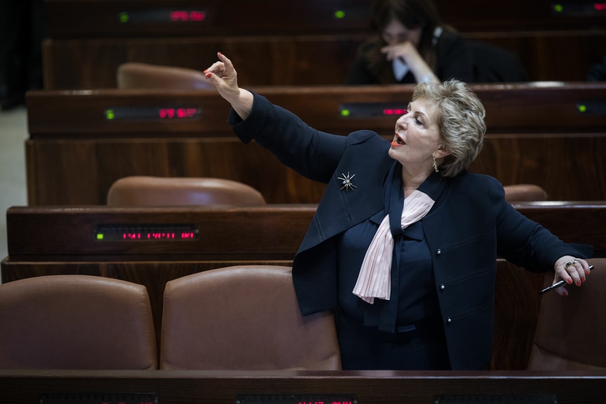 מהמשבר עד הפתרון • כך נראתה הכנסת