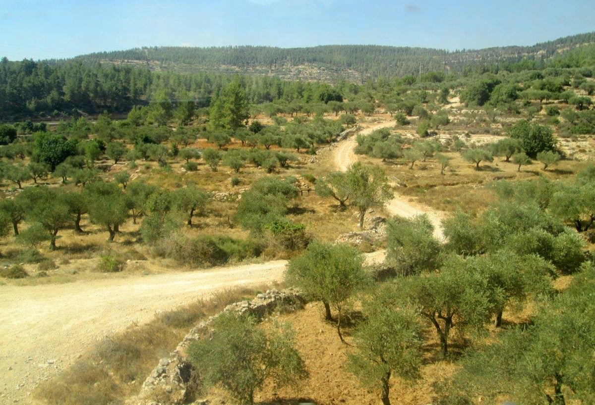 הרי יהודה בדרך מירושלים לבית שמש
