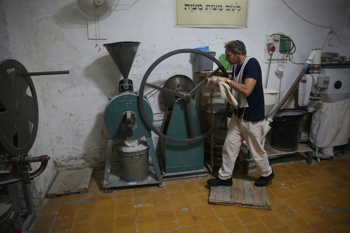 פעילות גופנית בערב פסח: טחינת חיטים למצות