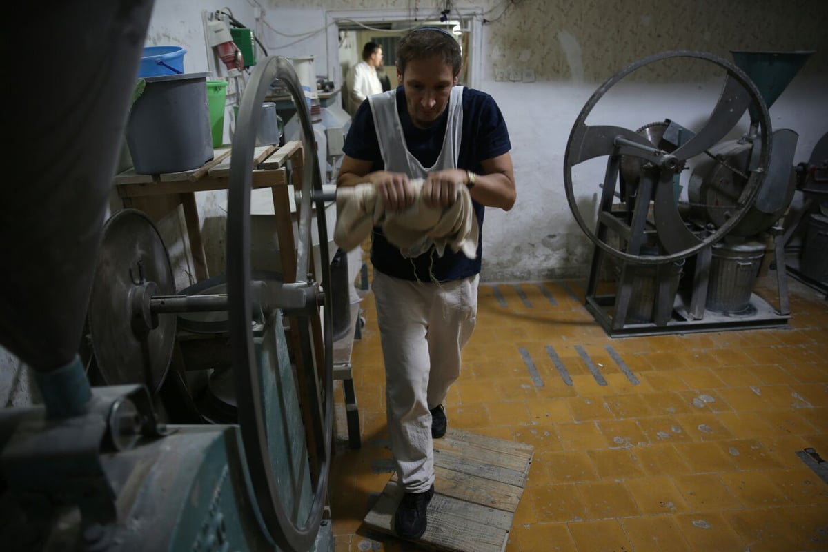 פעילות גופנית בערב פסח: טחינת חיטים למצות