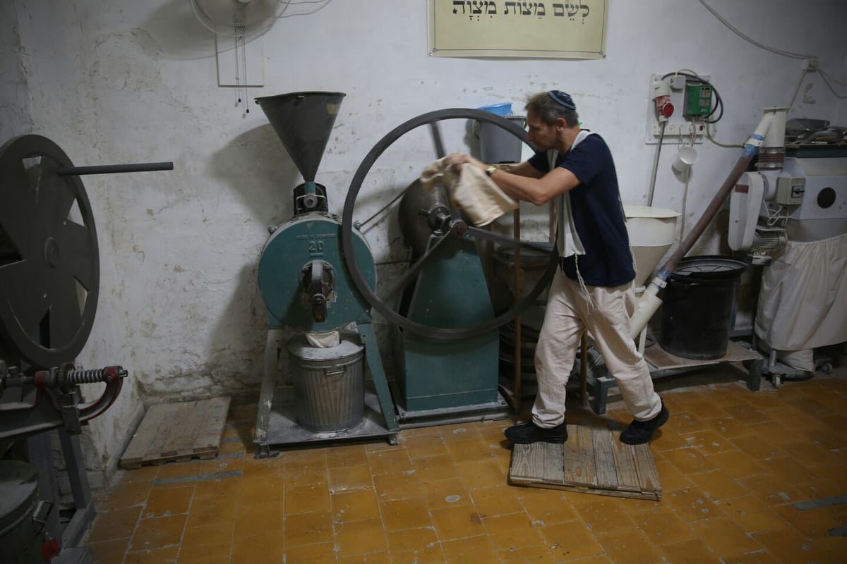 פעילות גופנית בערב פסח: טחינת חיטים למצות