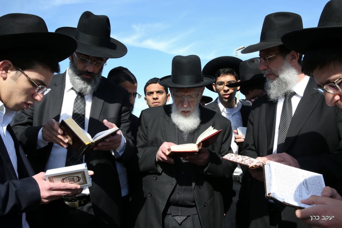 הבוקר: נשיא המועצת בירך "ברכת האילנות" • תיעוד