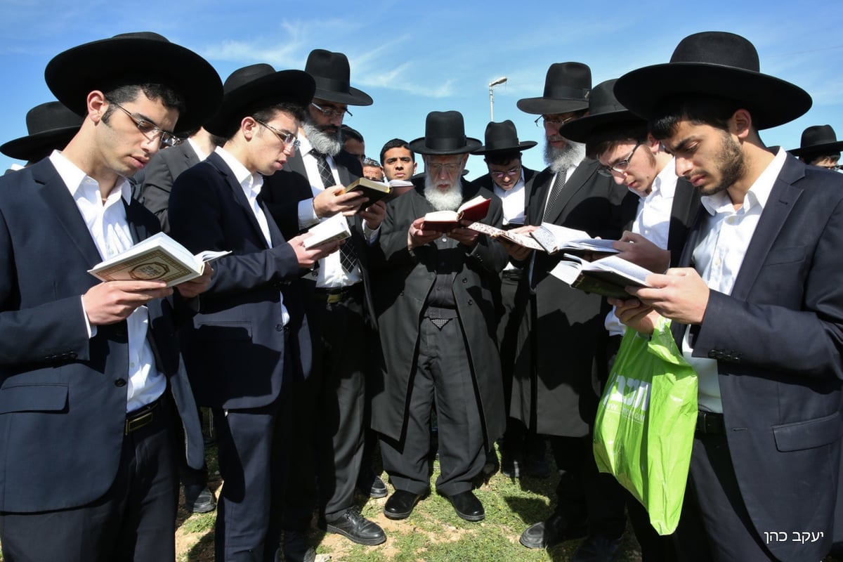 הבוקר: נשיא המועצת בירך "ברכת האילנות" • תיעוד