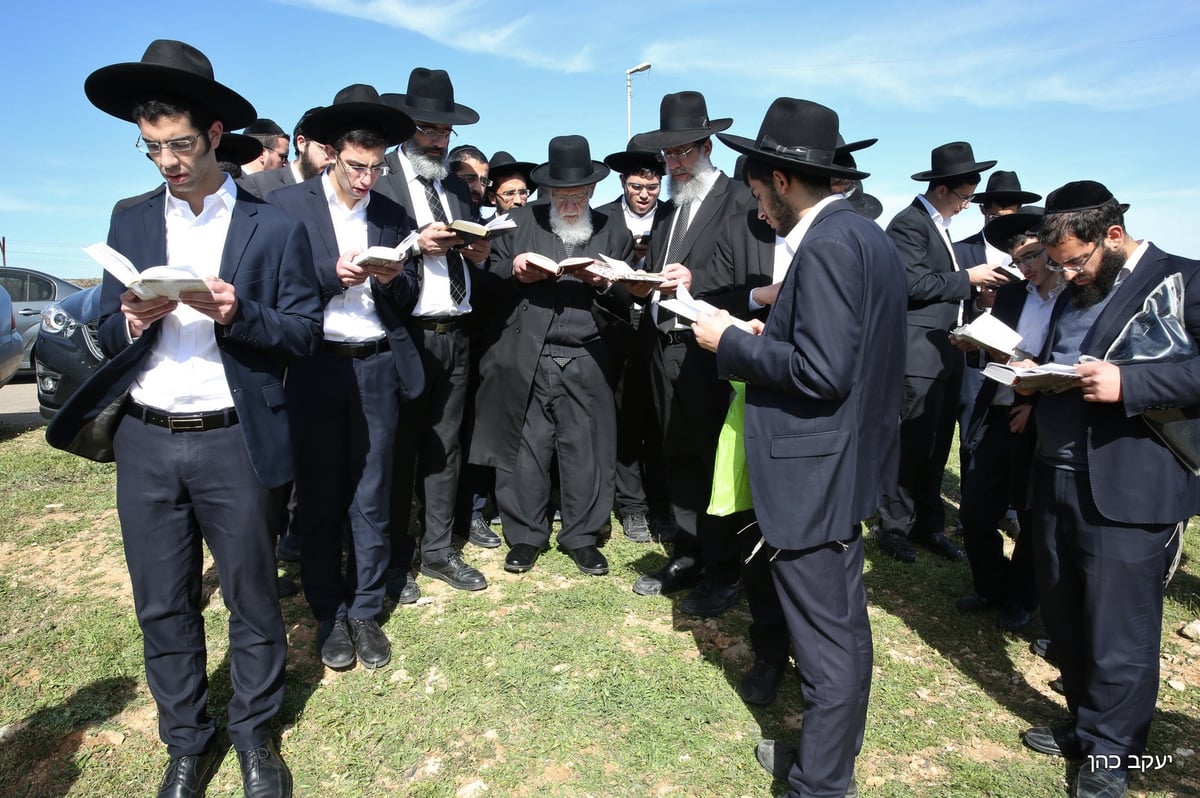 הבוקר: נשיא המועצת בירך "ברכת האילנות" • תיעוד