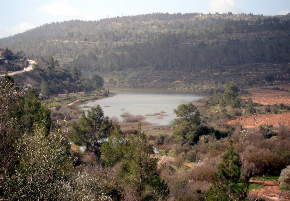 טיול מרהיב להרי יהודה דרך עדשת המצלמה