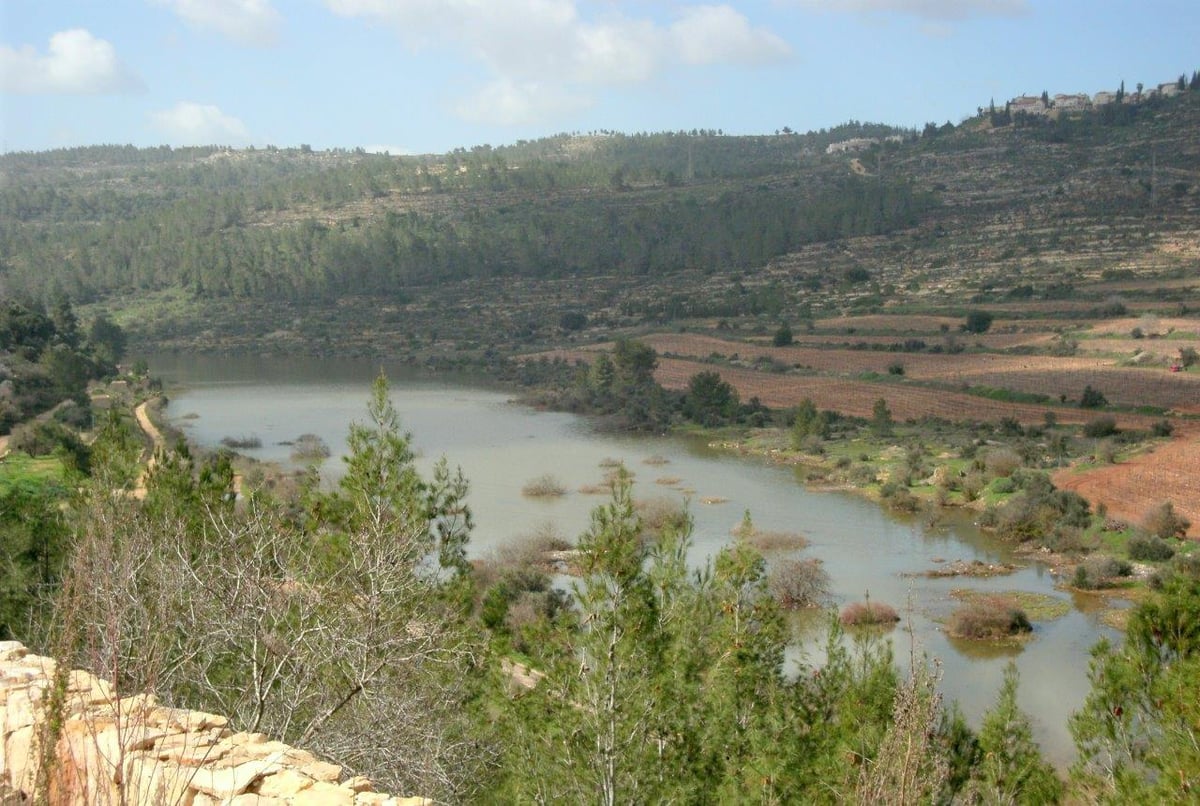 טיול מרהיב להרי יהודה דרך עדשת המצלמה