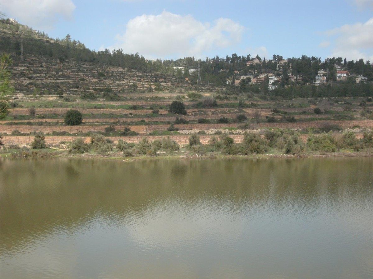 טיול מרהיב להרי יהודה דרך עדשת המצלמה