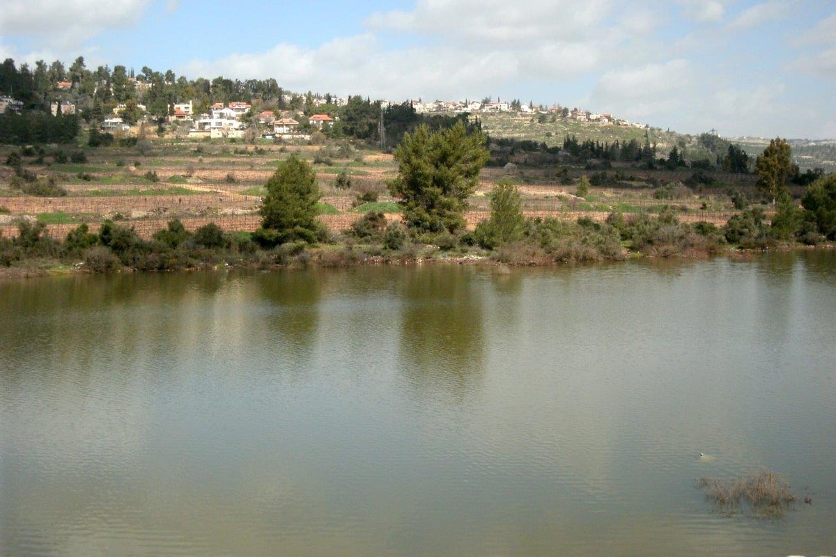 טיול מרהיב להרי יהודה דרך עדשת המצלמה