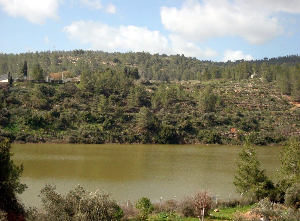 טיול מרהיב להרי יהודה דרך עדשת המצלמה