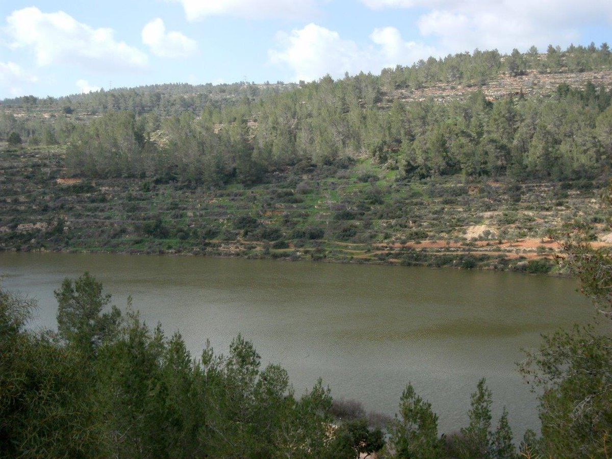 טיול מרהיב להרי יהודה דרך עדשת המצלמה