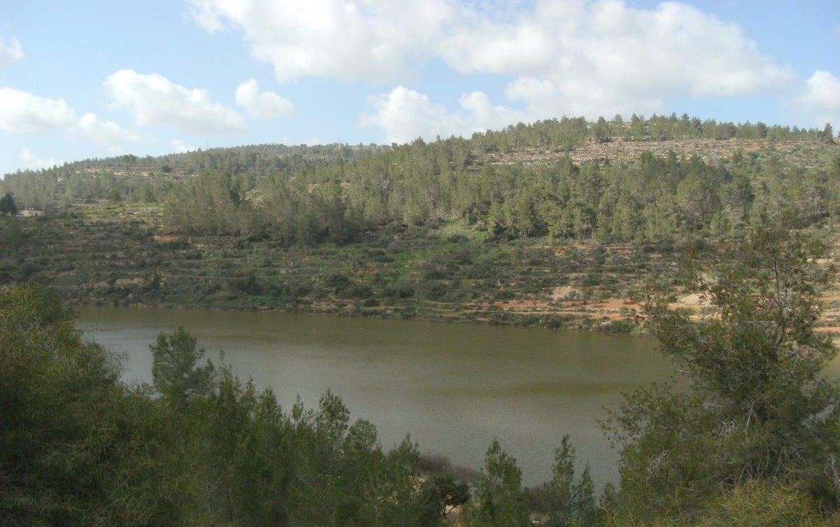 טיול מרהיב להרי יהודה דרך עדשת המצלמה