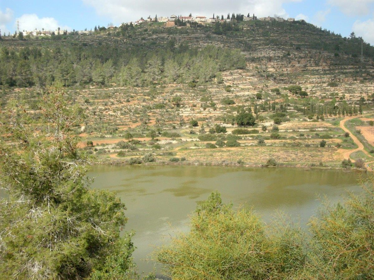 טיול מרהיב להרי יהודה דרך עדשת המצלמה