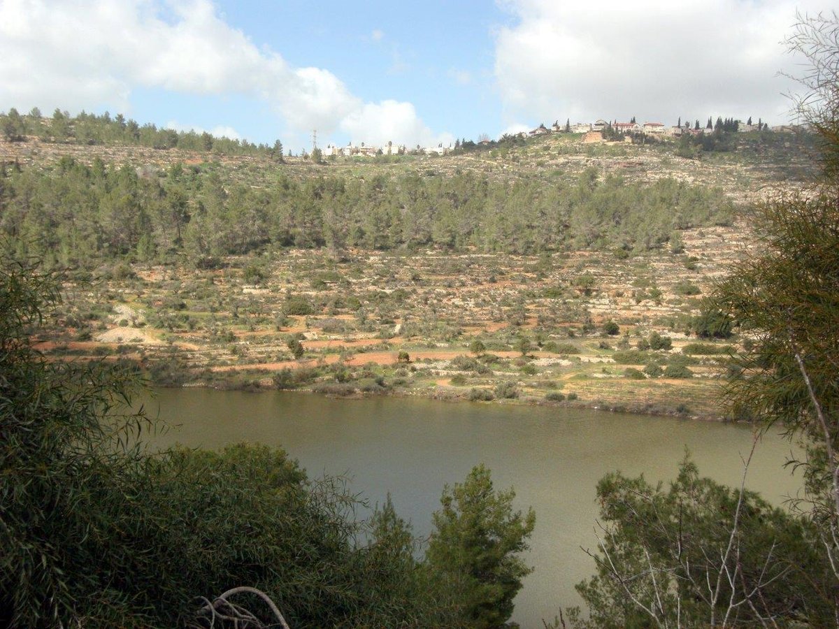 טיול מרהיב להרי יהודה דרך עדשת המצלמה