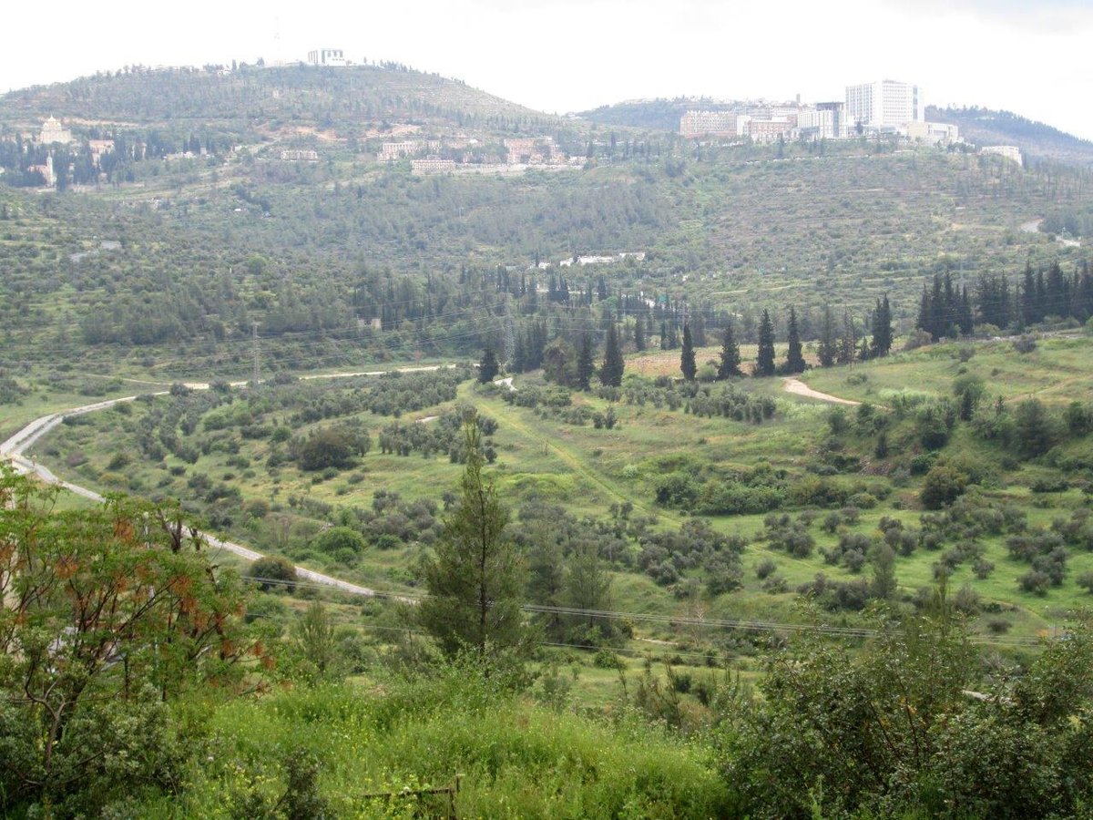 טיול מרהיב להרי יהודה דרך עדשת המצלמה