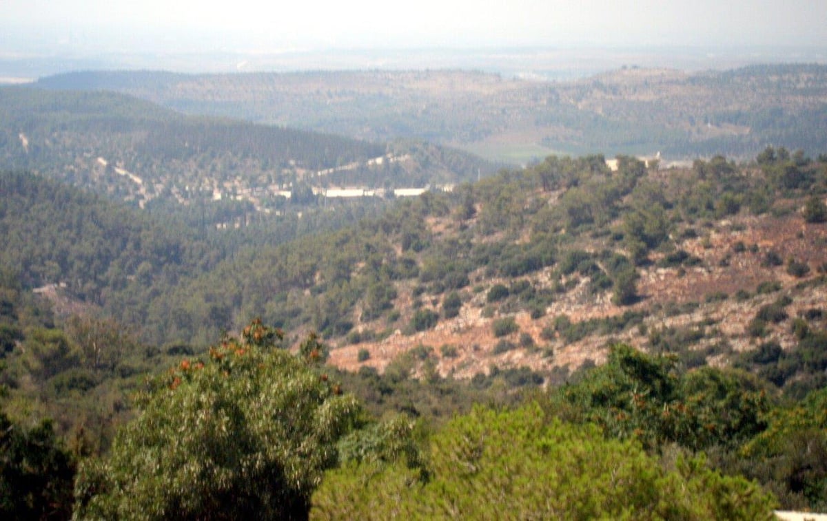 טיול מרהיב להרי יהודה דרך עדשת המצלמה