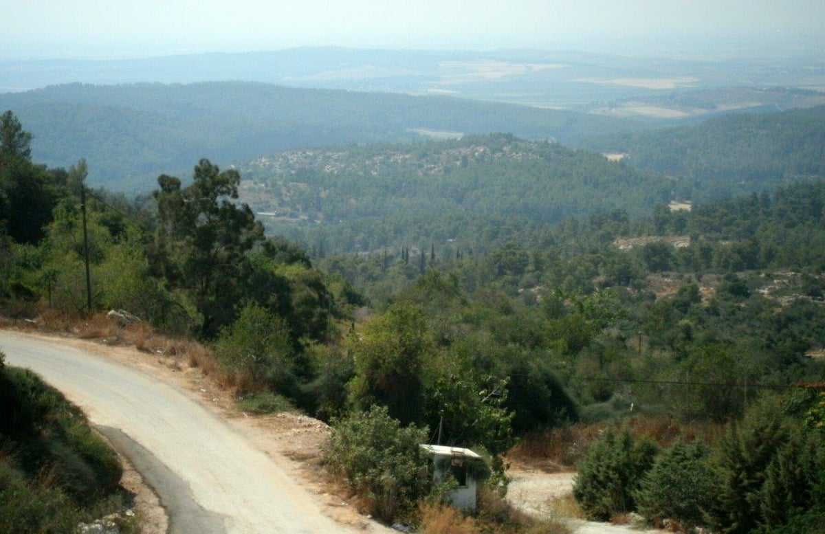 טיול מרהיב להרי יהודה דרך עדשת המצלמה