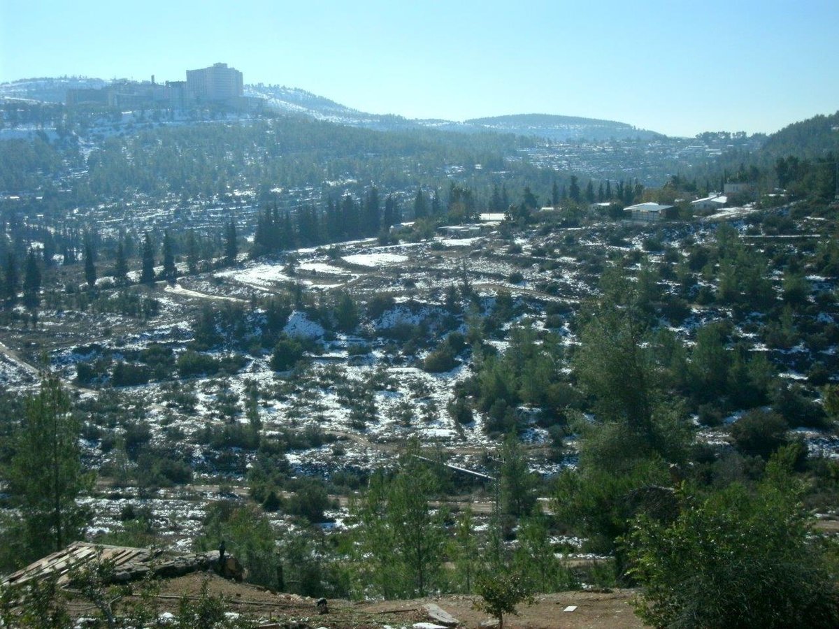 טיול מרהיב להרי יהודה דרך עדשת המצלמה