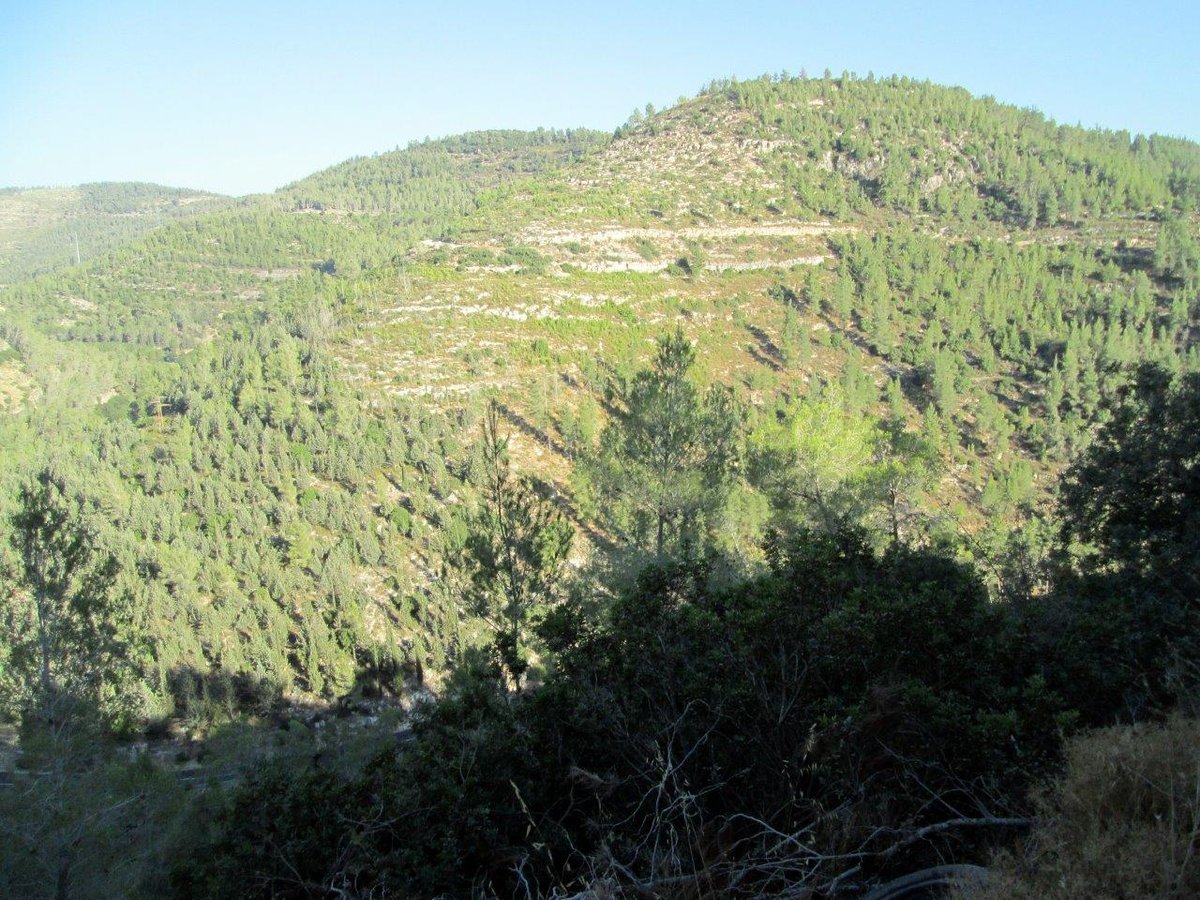 טיול מרהיב להרי יהודה דרך עדשת המצלמה