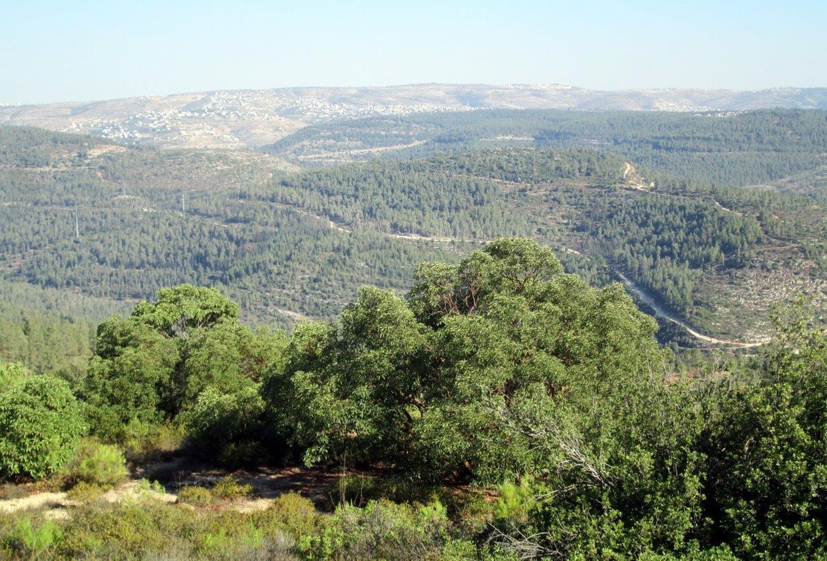 טיול מרהיב להרי יהודה דרך עדשת המצלמה