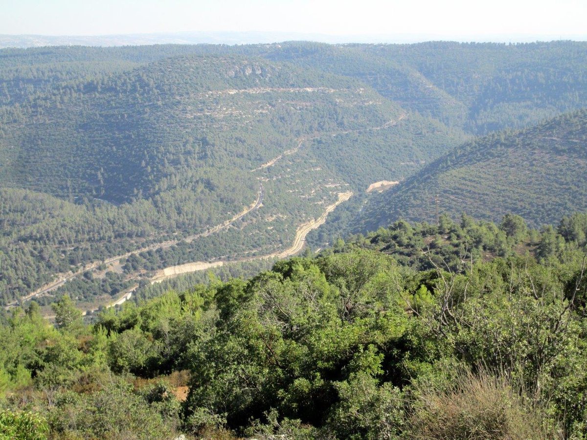 טיול מרהיב להרי יהודה דרך עדשת המצלמה