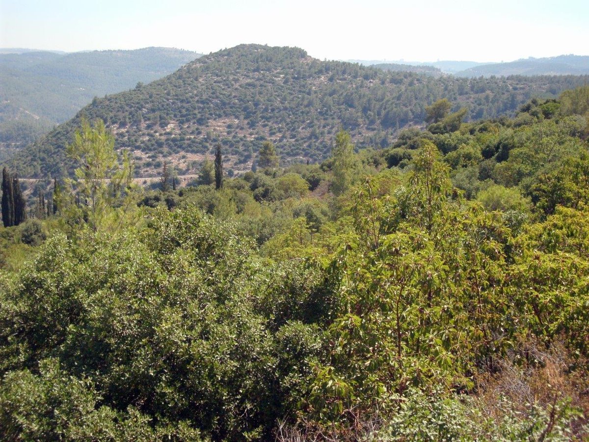 טיול מרהיב להרי יהודה דרך עדשת המצלמה