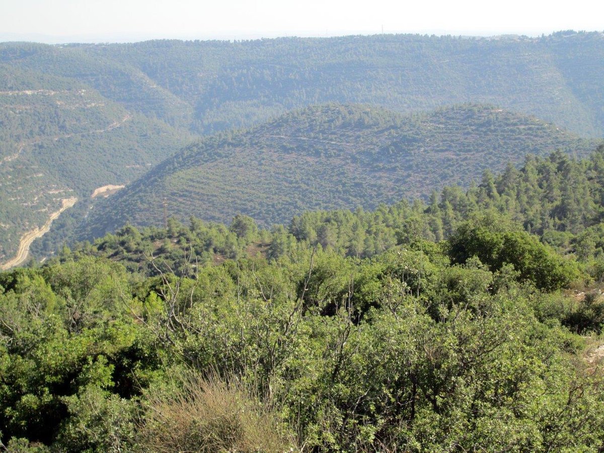 טיול מרהיב להרי יהודה דרך עדשת המצלמה