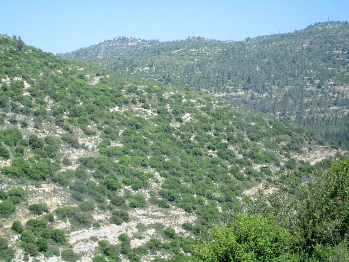 טיול מרהיב להרי יהודה דרך עדשת המצלמה