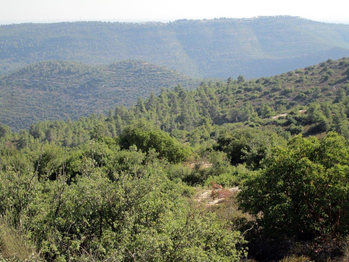 טיול מרהיב להרי יהודה דרך עדשת המצלמה