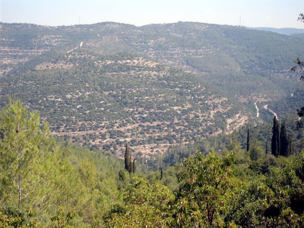 טיול מרהיב להרי יהודה דרך עדשת המצלמה