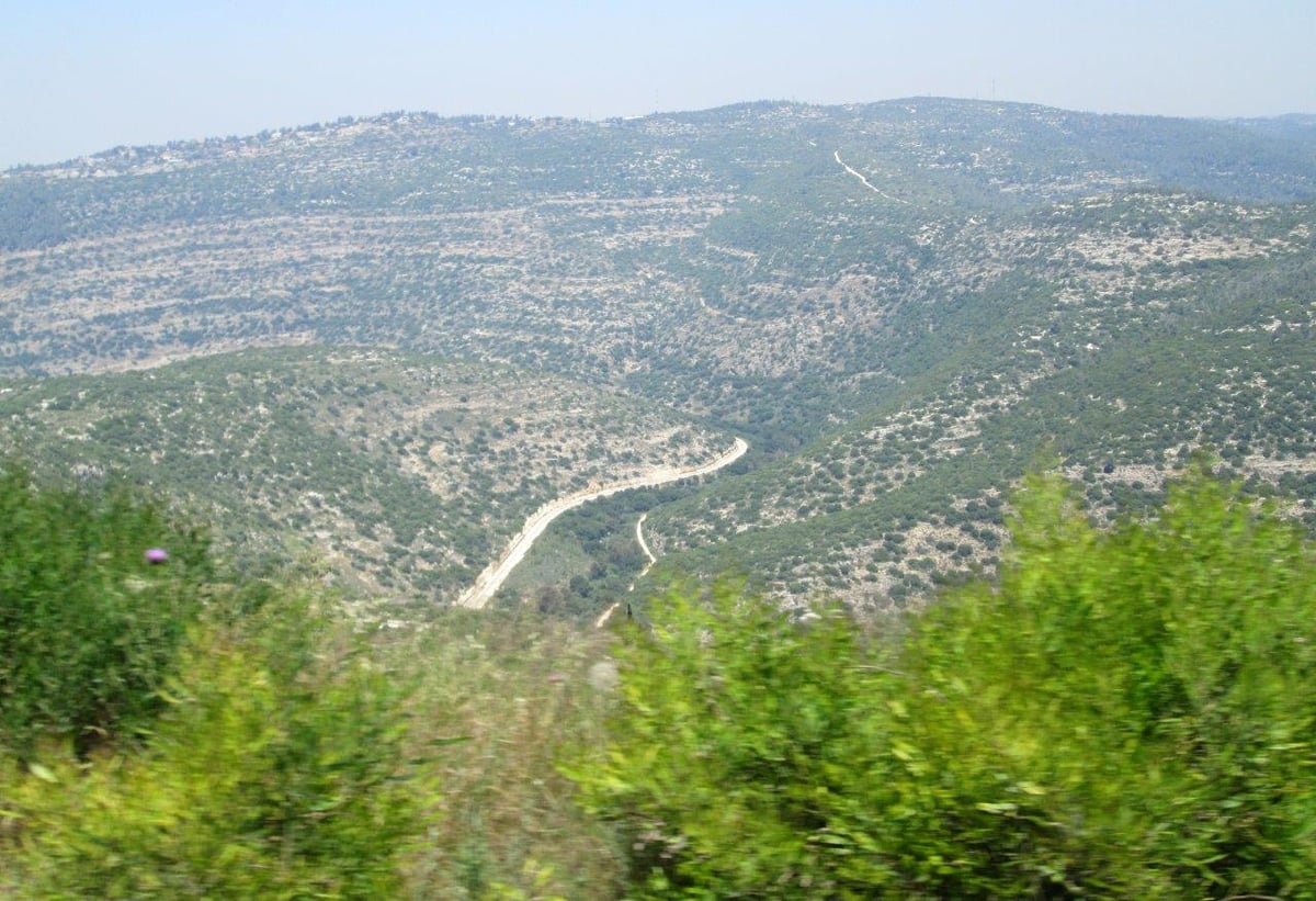 טיול מרהיב להרי יהודה דרך עדשת המצלמה