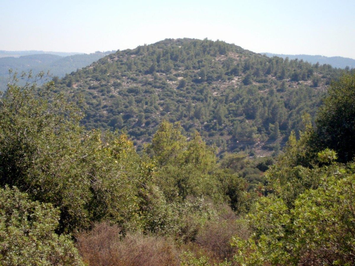 טיול מרהיב להרי יהודה דרך עדשת המצלמה