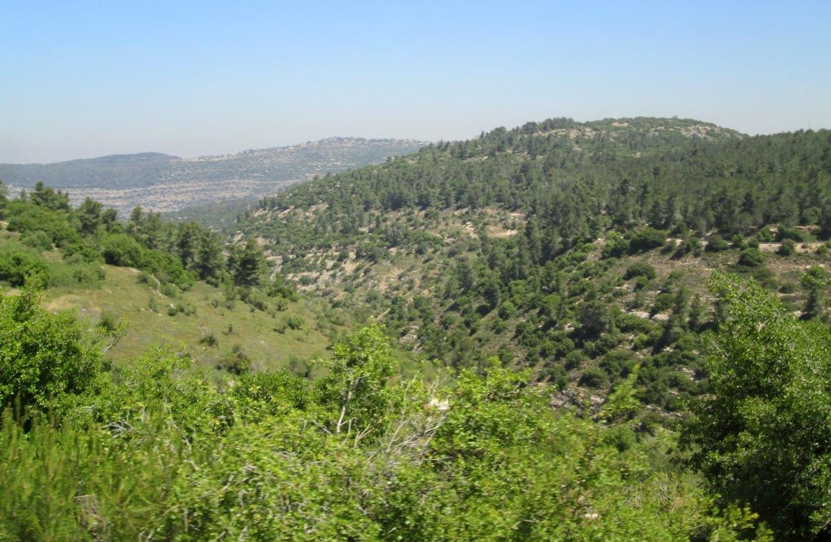 טיול מרהיב להרי יהודה דרך עדשת המצלמה