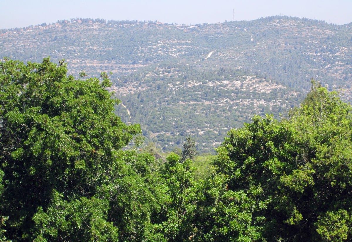 טיול מרהיב להרי יהודה דרך עדשת המצלמה