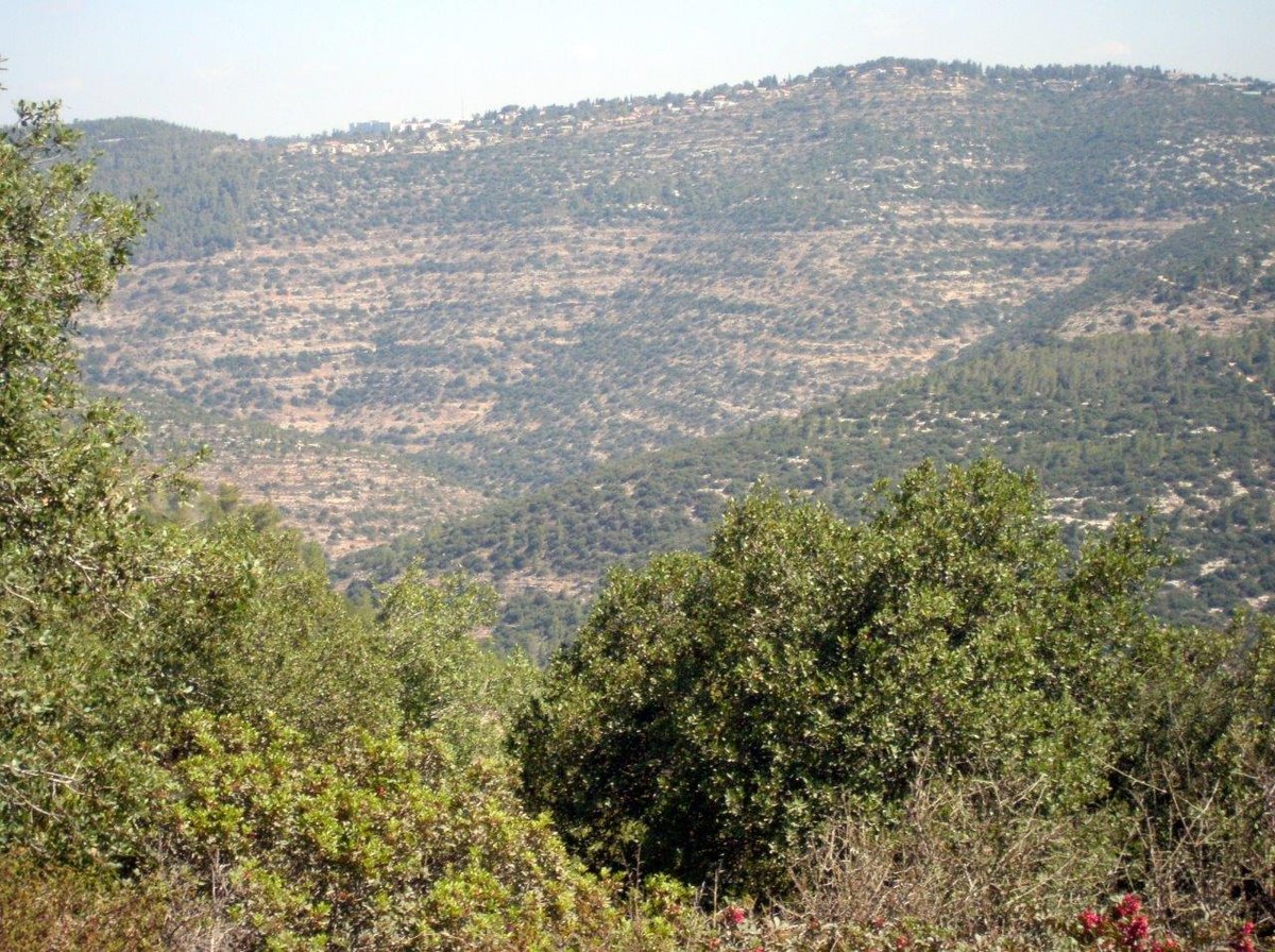 טיול מרהיב להרי יהודה דרך עדשת המצלמה